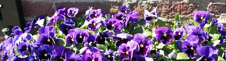 The naked truth with Miss Lucy